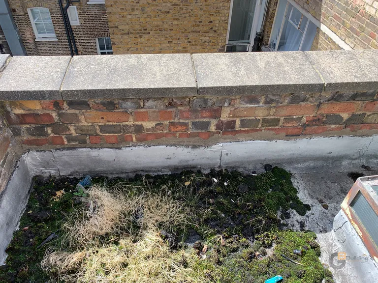 fitzrovia 1