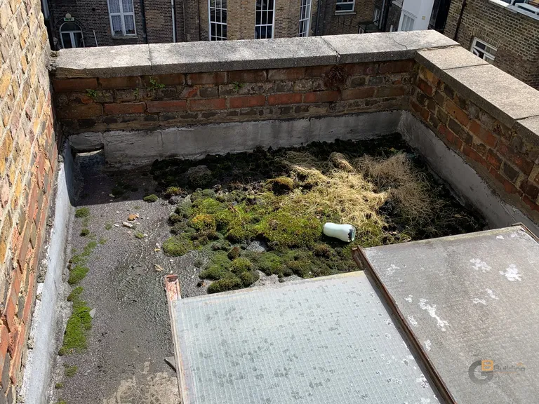 fitzrovia 6